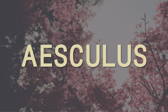 Aesculus: The Modern Sans Serif Typeface for Digital Brands