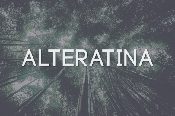 Alteratina: A Timeless Sans Serif Typeface for Editorial Design