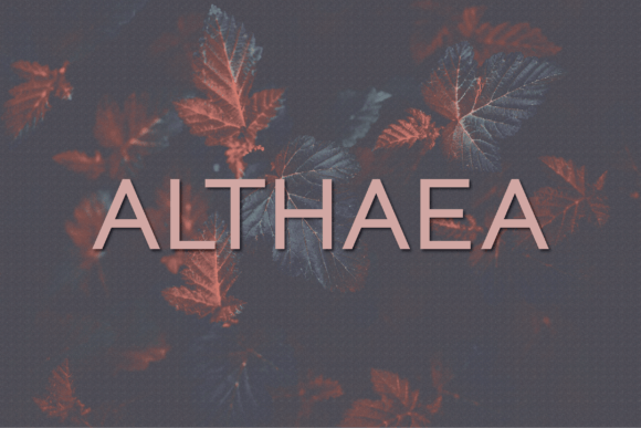 Althaea: A Modern Sans Serif Typeface for Branding
