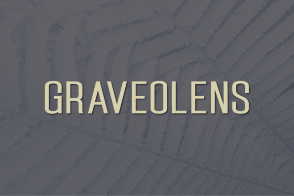 Graveolens Typeface Review for Modern Campaigns