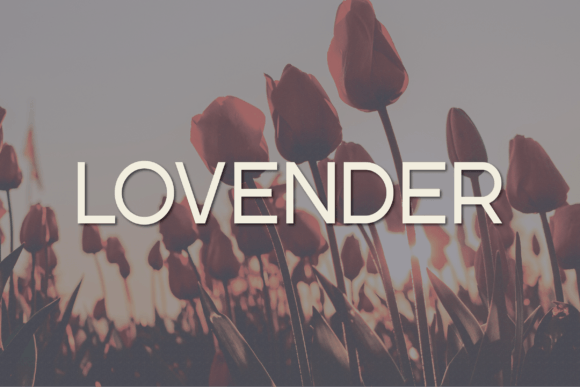 Lovender: A Contemporary Sans Serif Typeface for Web Design