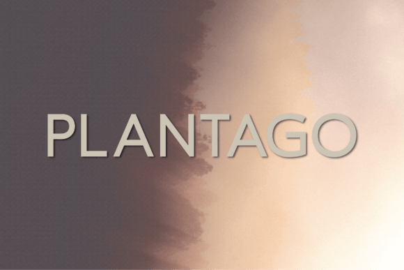 Plantago Typeface: Elegant Sans Serif for Modern Brands