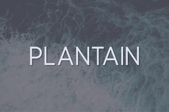 Plantain: A Modern Sans Serif Typeface for Editorial Design