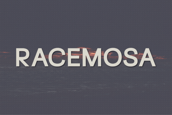 Racemosa Typeface for Modern Editorial Design