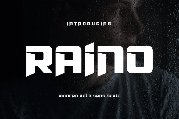 Raino: A Bold Sans Serif Font for Makers