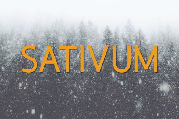 Sativum Sans Serif Typeface for Modern Web Design