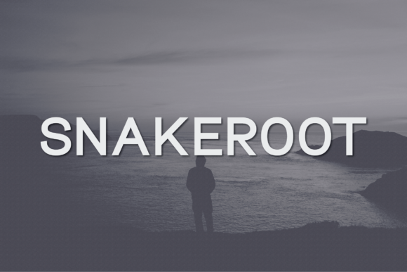 Snakeroot: A Sophisticated Sans Serif Font for Modern Editors