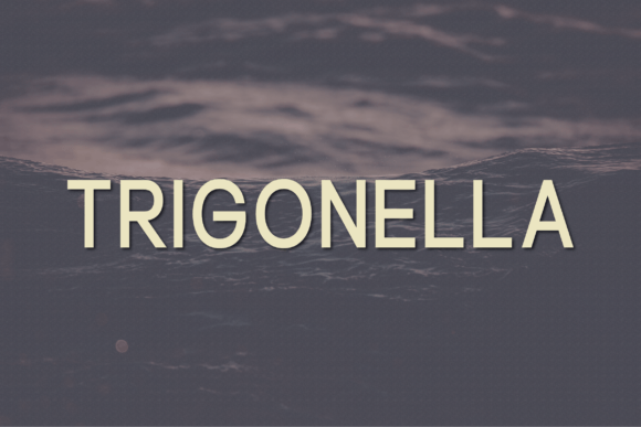 Trigonella Typeface for Modern Digital Branding